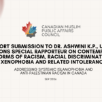 Report Submission to Dr. Ashwini K.P., United Nations Special Rapporteur on contemporary forms of racism, racial discrimination, xenophobia and related intolerance