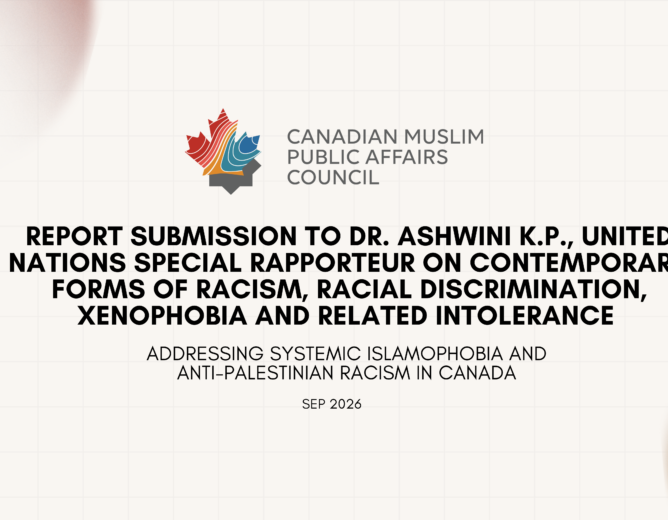 Report Submission to Dr. Ashwini K.P., United Nations Special Rapporteur on contemporary forms of racism, racial discrimination, xenophobia and related intolerance